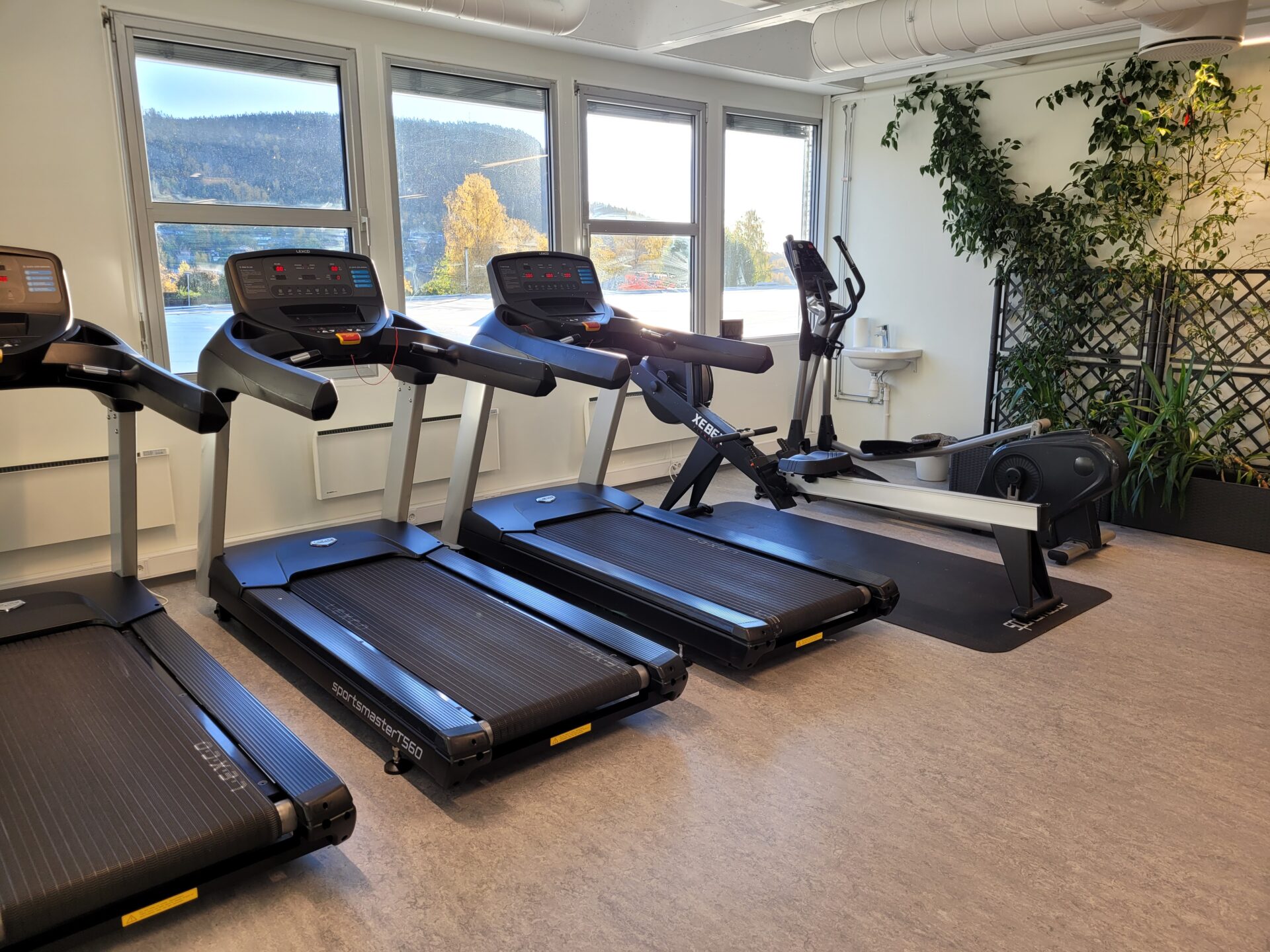 Styrkeapparater og skap i salen